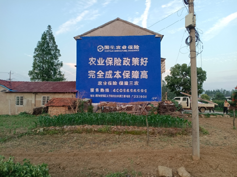 宜城墙体广告的优劣势你知道吗?